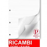 ricambi forati pigna